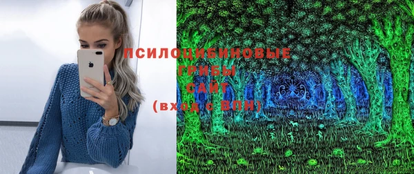 бутират Сясьстрой