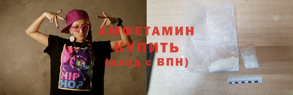 индика Горно-Алтайск