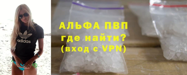 хмурый Гусь-Хрустальный