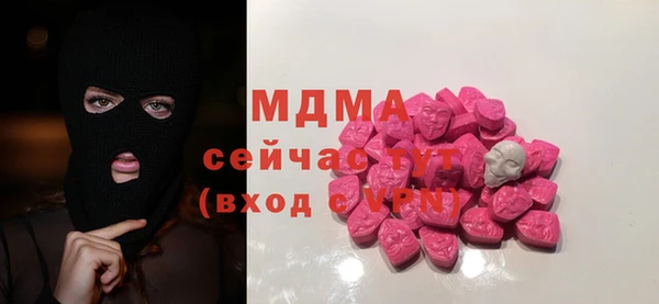 индика Горно-Алтайск