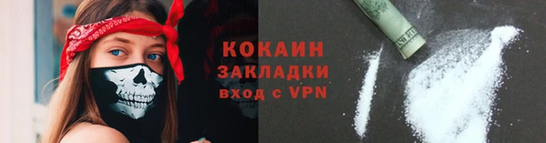 хмурый Гусь-Хрустальный