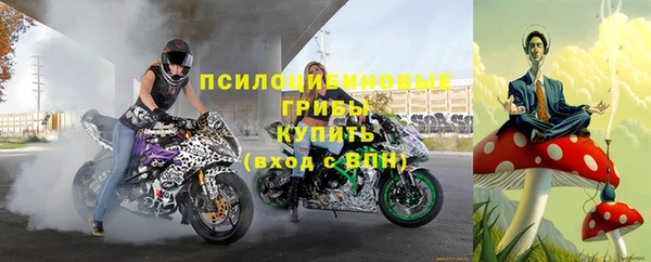 наркотики Гусев