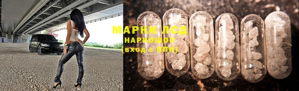 гидропоника Горняк